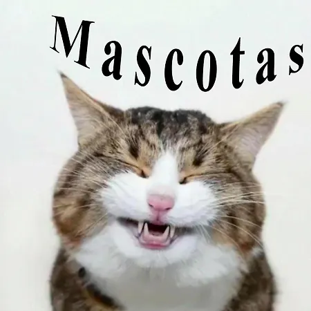 Inmobiliaria - Admite Mascotas