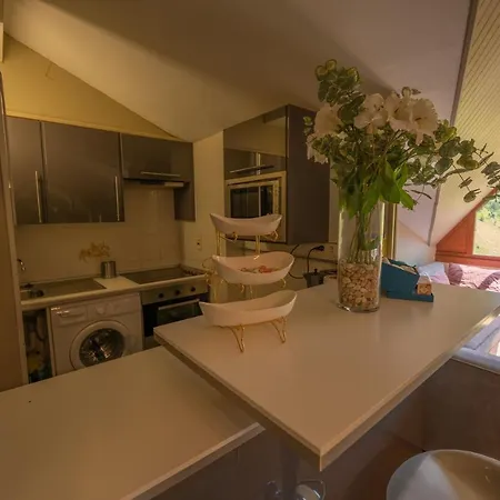 Inmobiliaria - Admite Mascotas Formigal