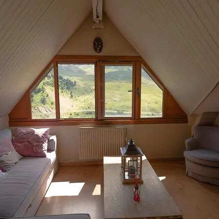 Apartamentos Formigal *