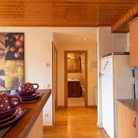 Inmobiliaria - Admite Mascotas * Formigal