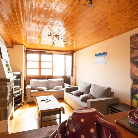 Inmobiliaria - Admite Mascotas Formigal