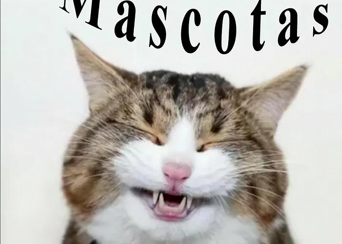 Apartamentos Formigal